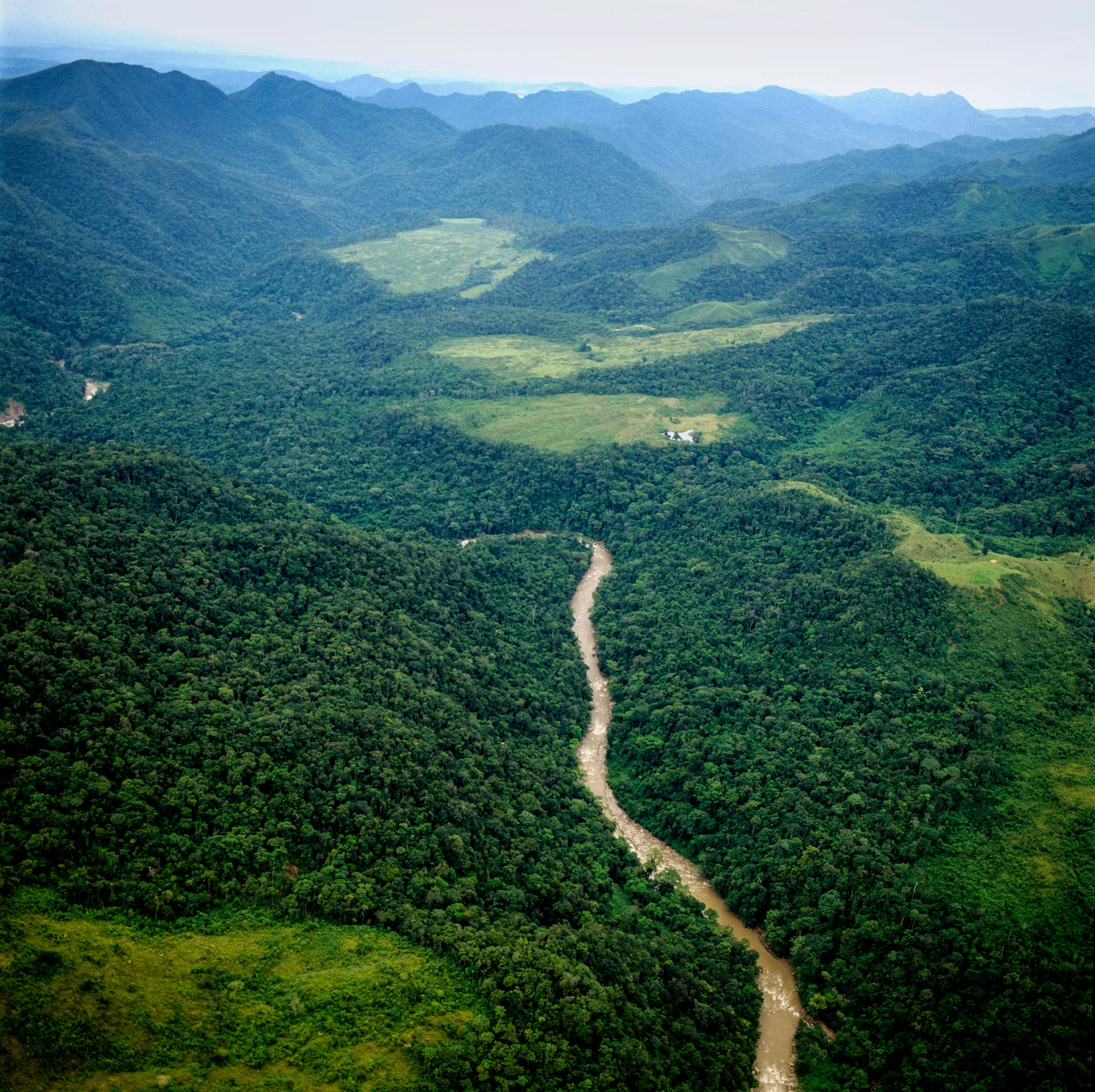 Sustainable green Africa